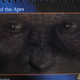Illustration for article titled First look at the CG face of Caesar from Rise of the Apes